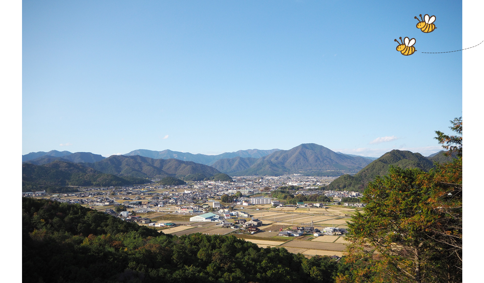 兵庫県の自然豊かな山々に囲まれた場所の養蜂園